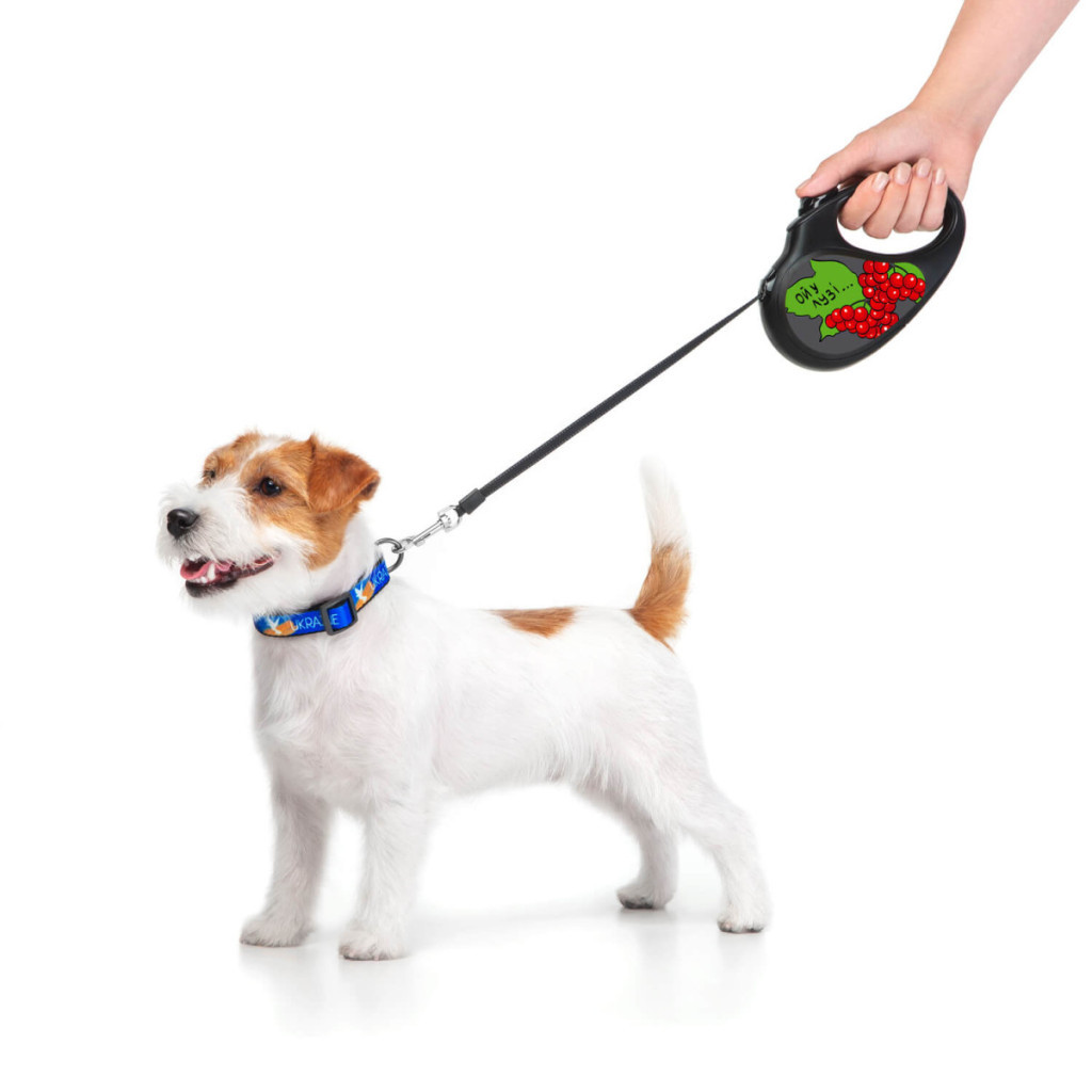 Повідець для собак WAUDOG R-leash Калина світловідбиваюча стрічка S 5 м (8124-0228-01) - зображення 4