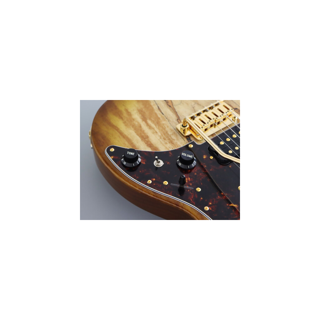 Електрогітара FGN Odyssey Expert Series Hojicha Burst (EOS2-EW1-RM/HCB) - зображення 5