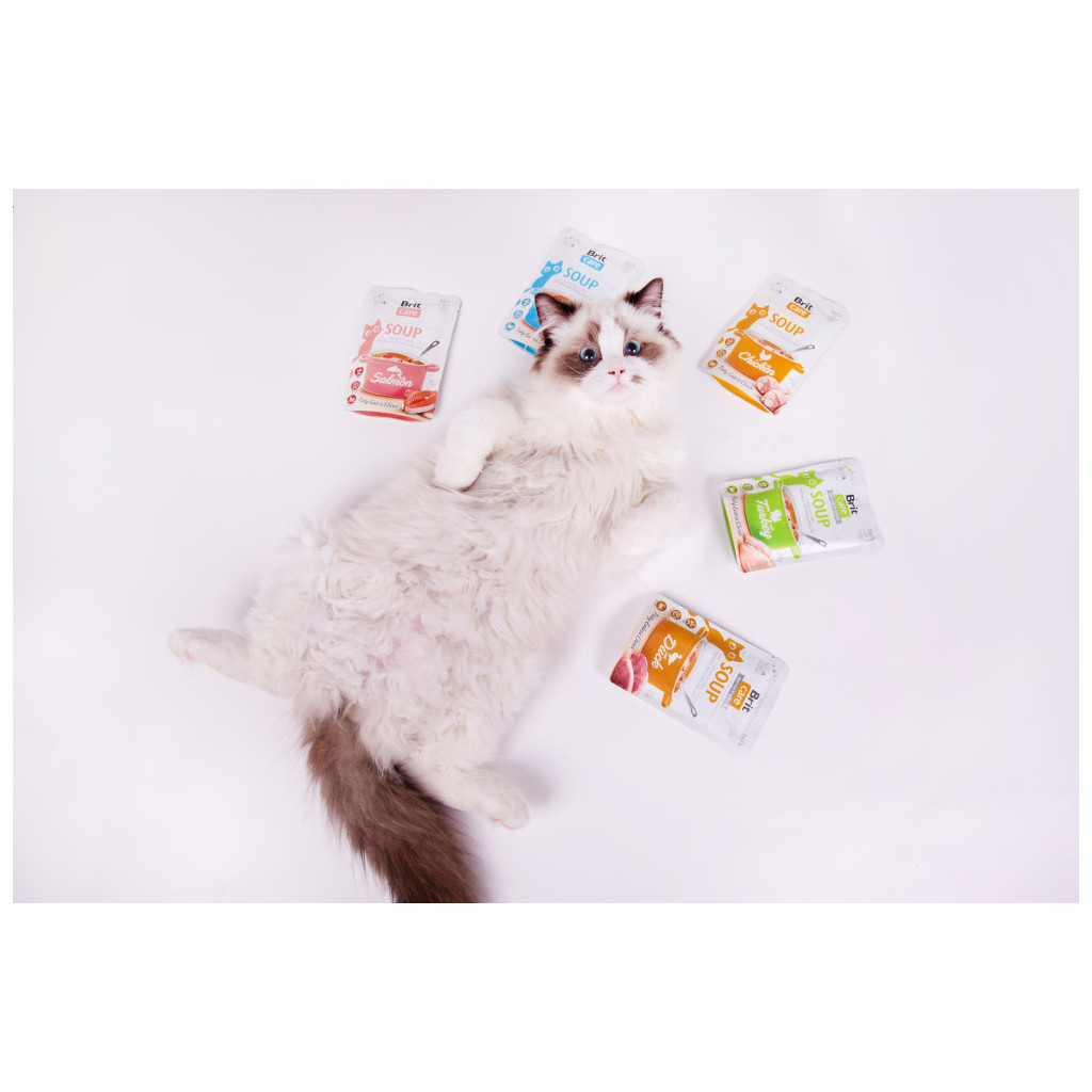 Вологий корм для кішок Brit Care Soup with Chicken з куркою 75 г (8595602569175) - зображення 7