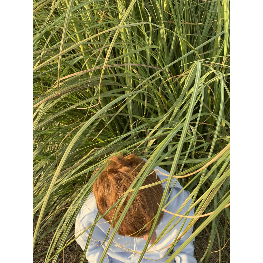 Кондиціонер для волосся Yope Fresh Grass 170 мл (5900168900318) - зображення 3