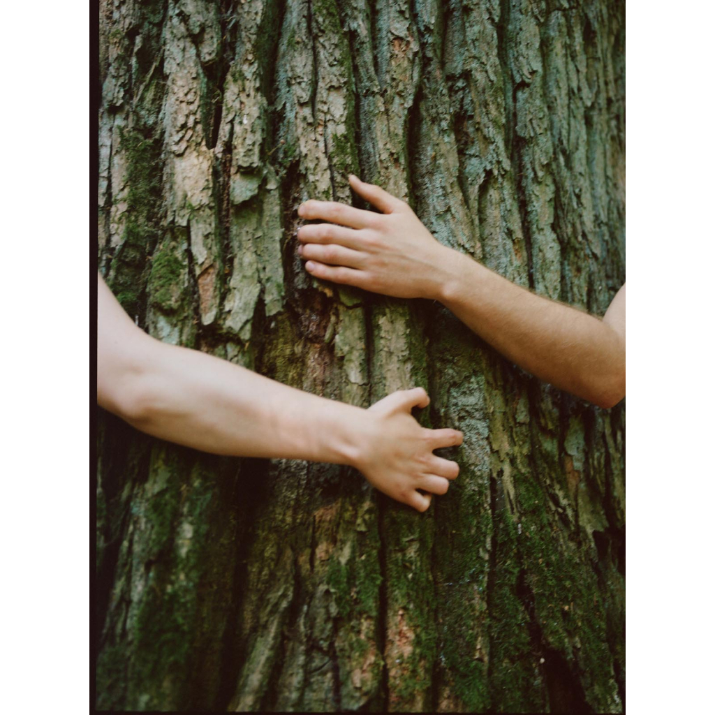 Шампунь Yope Guaiac Tree 300 мл (5903760202088) - зображення 3