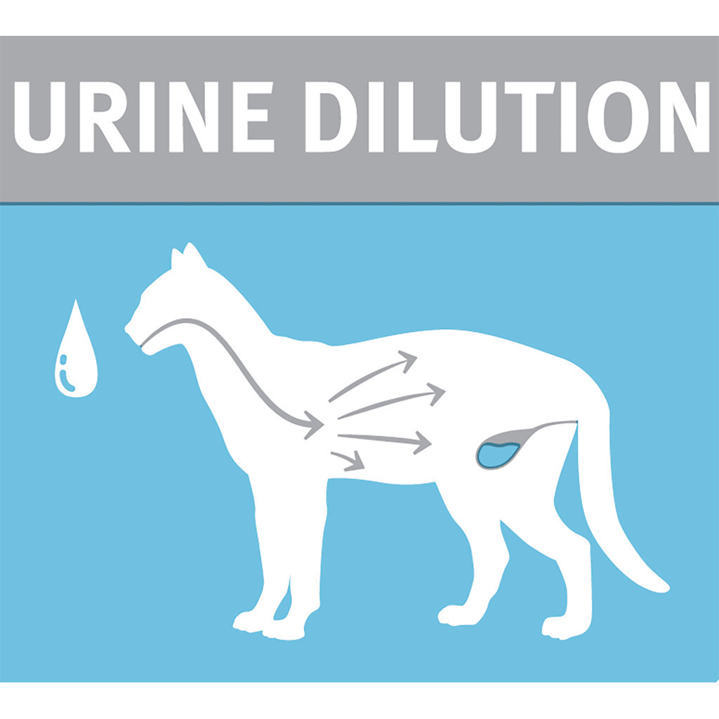 Вологий корм для кішок Purina Pro Plan Hydra Сare для збільшення споживання води та розведення сечі (7613038944593) - зображення 6