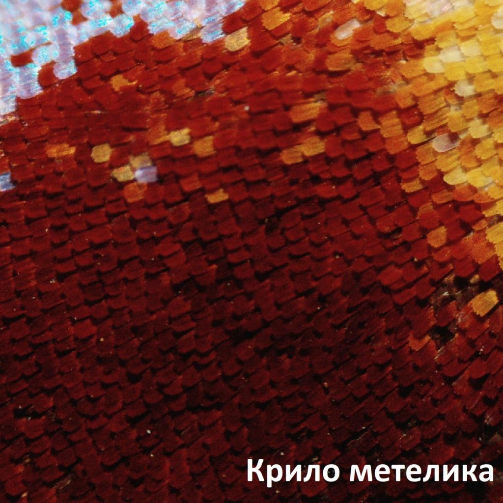 Мікроскоп Bresser Biolux LCD Touch 50x-2000x (5201020) (928558) - зображення 5