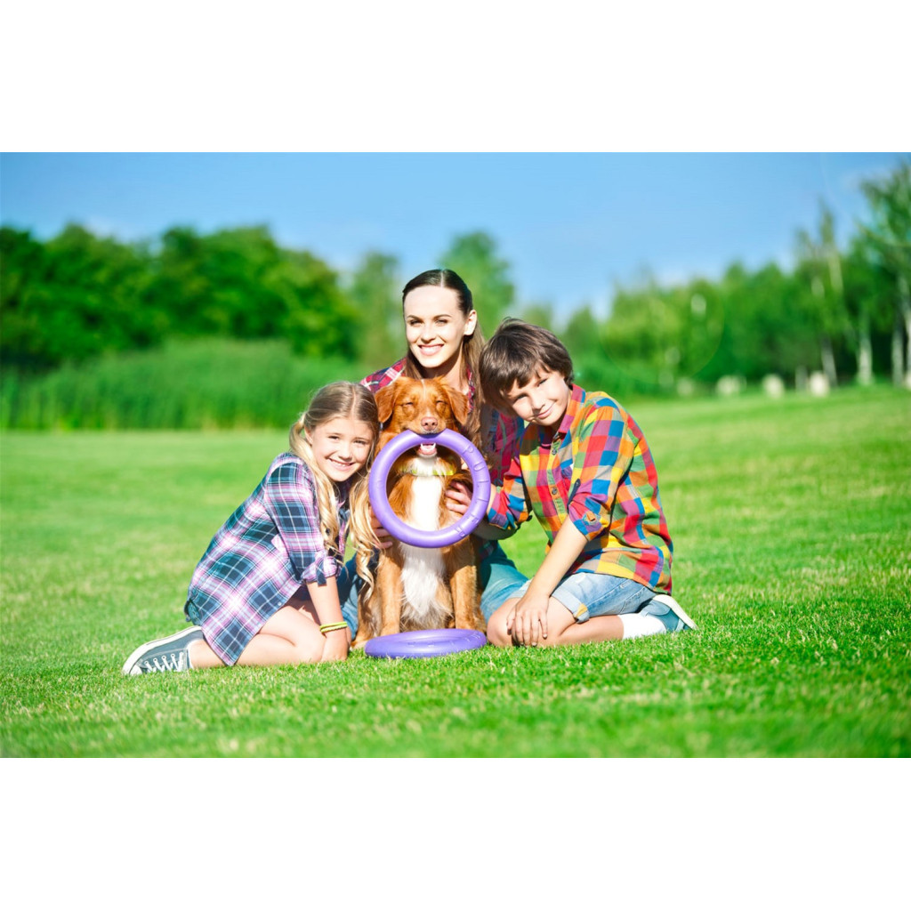 Іграшка для собак Puller Standard Тренувальний снаряд 28 см 2 шт (6490) - зображення 6