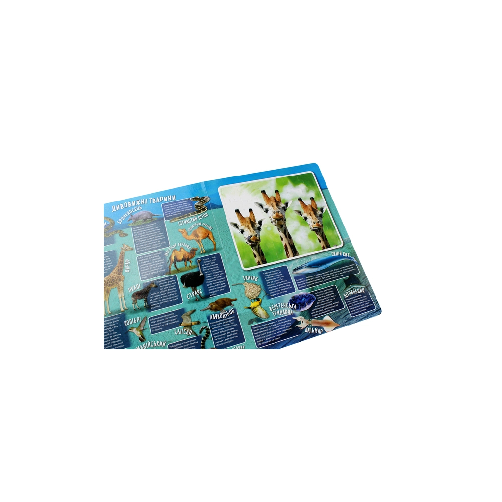 Книга Дивовижний світ Vivat (9789669822611) - зображення 7