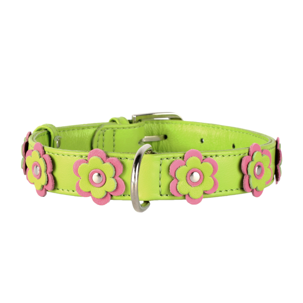 Нашийник для тварин Collar GLAMOUR з оздобленням "Аплікація" Ш 25 мм Д 38-49 см салатовий (35035) - зображення 2