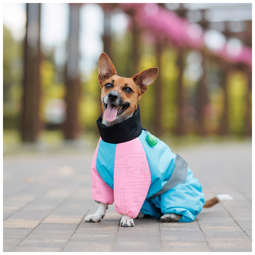 Комбінезон для тварин Pet Fashion Milly S2 (4823082439850) - зображення 4