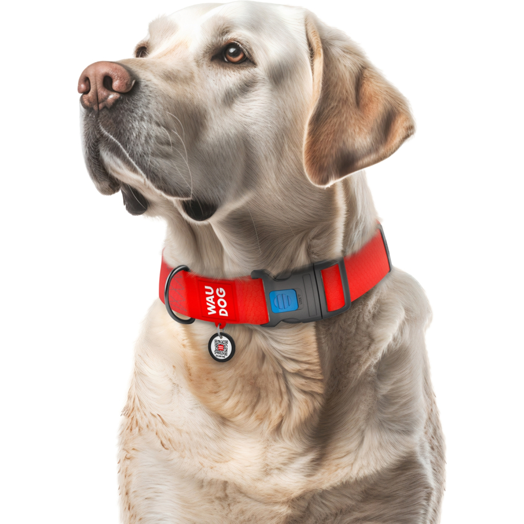 Нашийник для тварин WAUDOG Waterproof з QR паспортом пластиковий фастекс XXL червоний (25113) - зображення 4