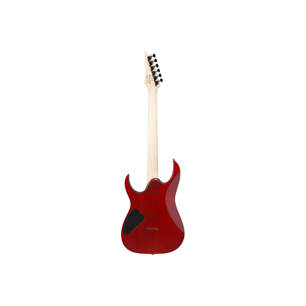 Електрогітара Ibanez RG421PB CHF (230535) - изображение 2