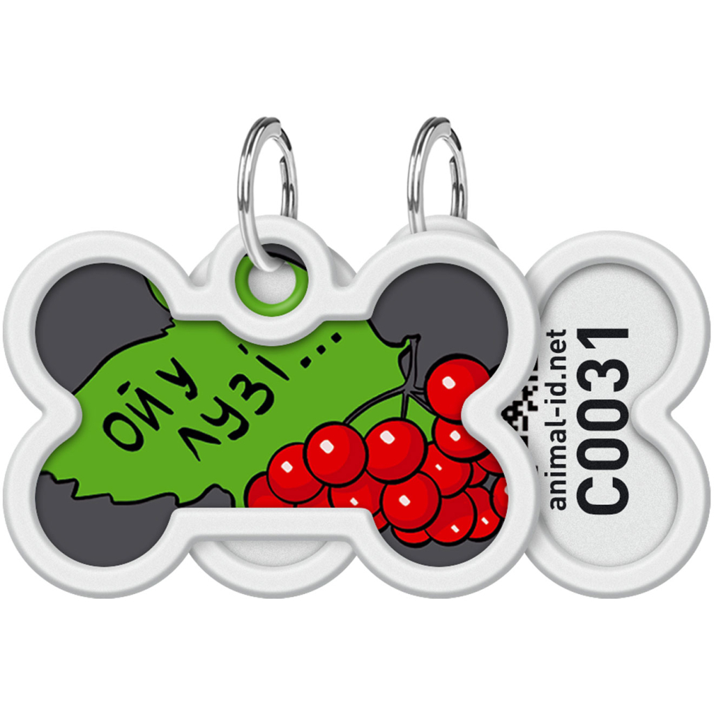 Адресник для тварин WAUDOG Smart ID з QR паспортом "Калина", кістка 40х28 мм (0640-0228) - зображення 1