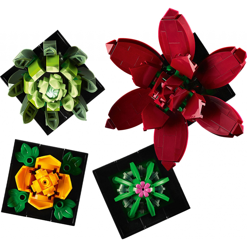 Конструктор LEGO Botanicals Сукуленти (10309-) - зображення 8