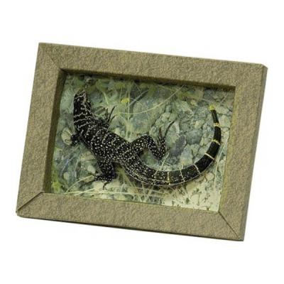 Збірна модель Умная бумага Рамка Ящірка (241) - зображення 1