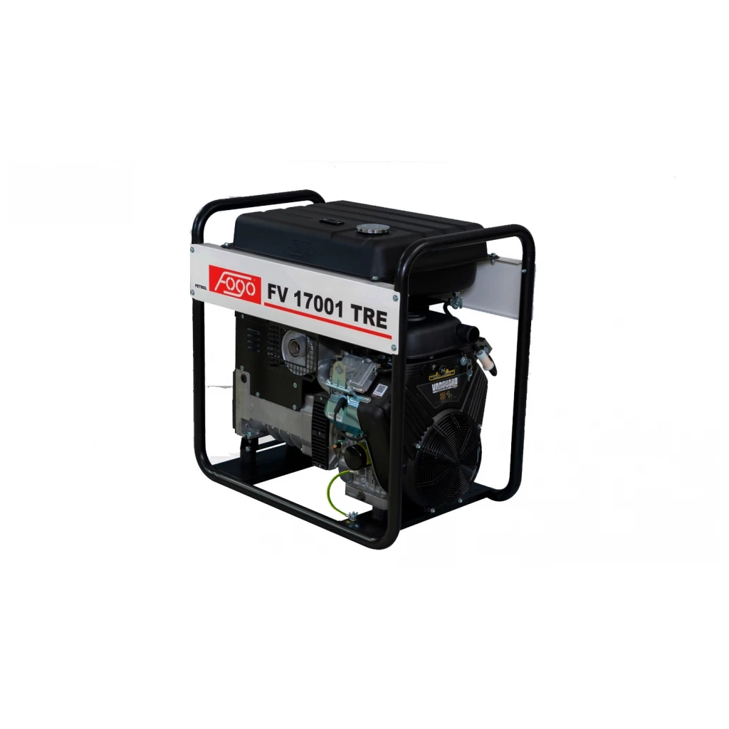 Генератор Fogo FV17001TRE 14,9kW, двиг.BS (FV 17001 TRE) - зображення 2