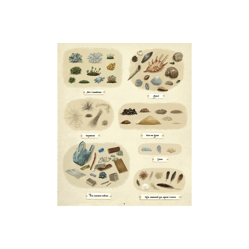 Книга Що будують звірята? - Емілія Дзюбак Видавництво Старого Лева (9789664481271) - зображення 5