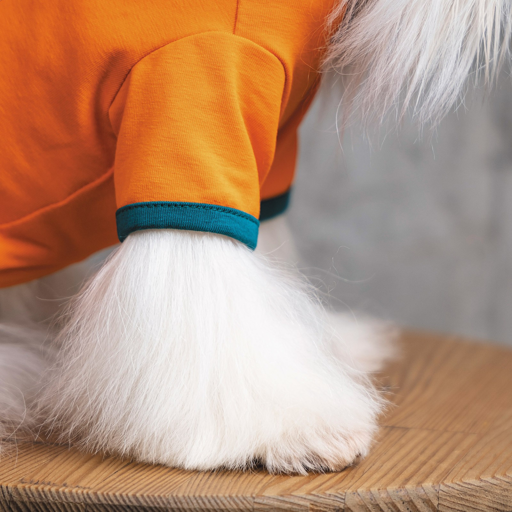 Футболка для тварин Pet Fashion "ART" XS2 жовтогаряча (4823082420933) - зображення 3