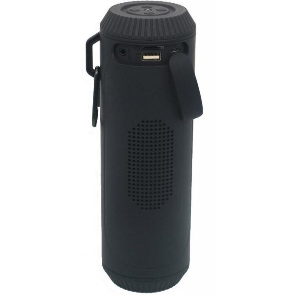 Акустична система Greenwave PS-601WP black (R0015299) - зображення 3