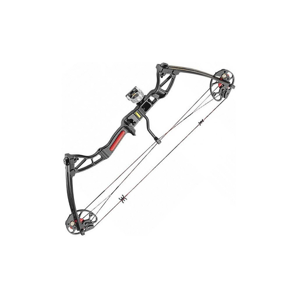 Лук Poe Lang Rex 15-55 LBS Black (C0-029B) - зображення 1