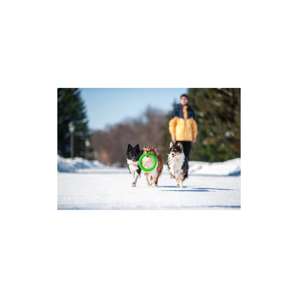 Іграшка для собак Collar PitchDog Кільце для апортування 28 см салатове (62385) - зображення 6
