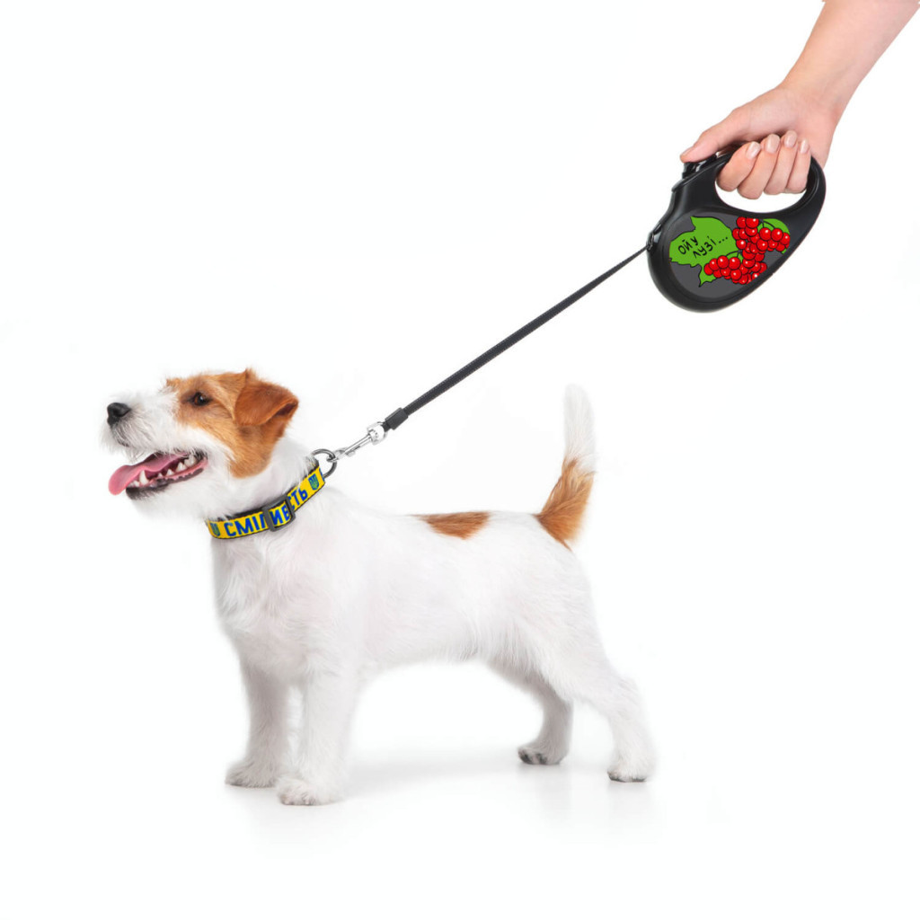 Повідець для собак WAUDOG R-leash Калина світловідбиваюча стрічка XS 3 м (8123-0228-01) - зображення 5