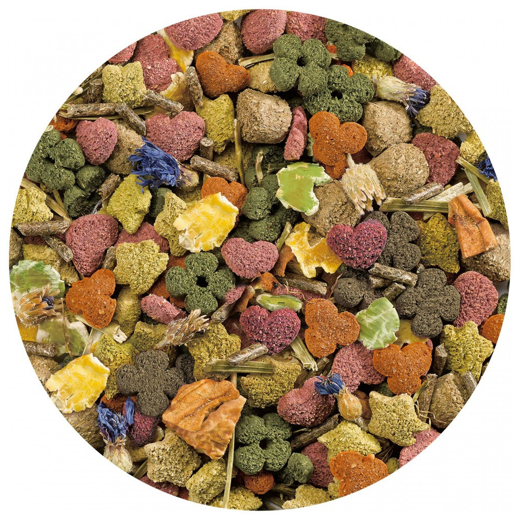 Корм для гризунів Vitakraft Emotion для декоративних гризунів та морських свинок 600 г (4008239337535) - зображення 5