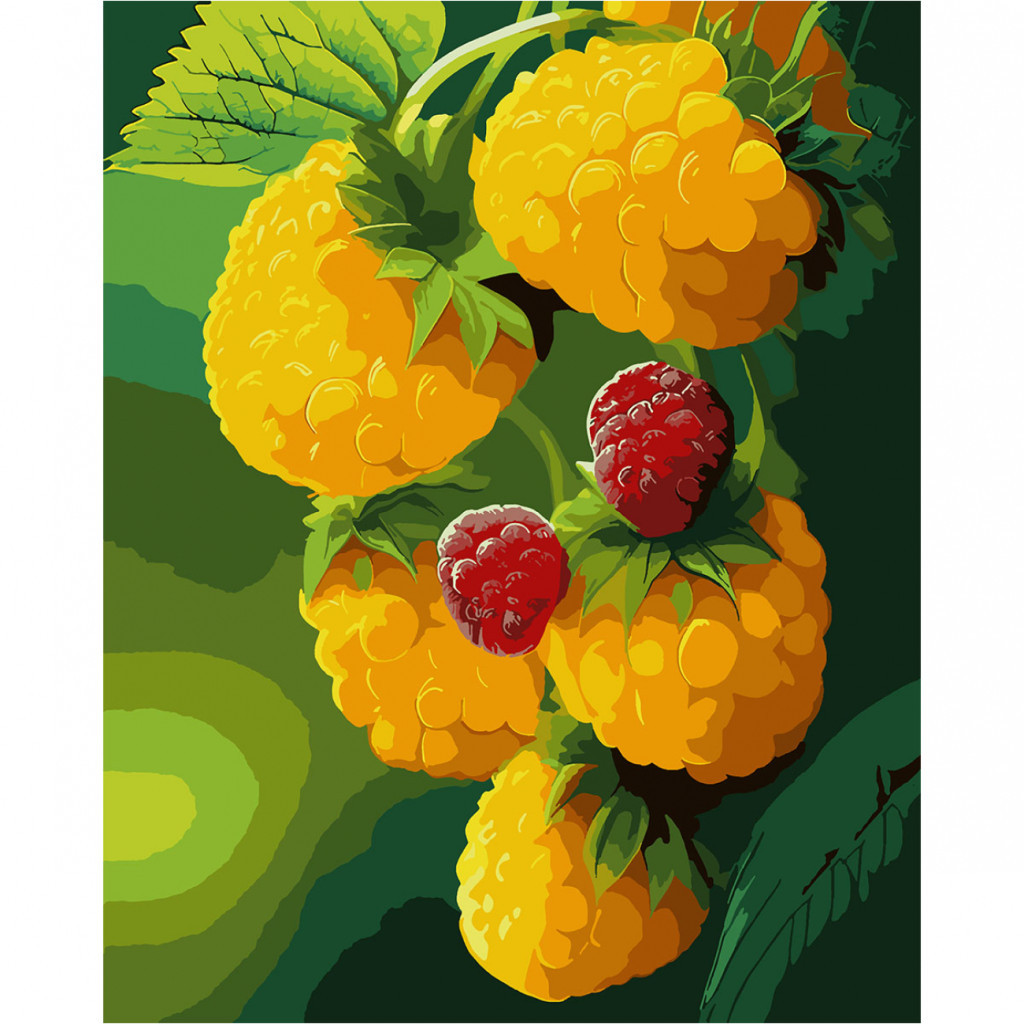 Картина по номерам Santi Малина 40х50 см (954797) - зображення 1