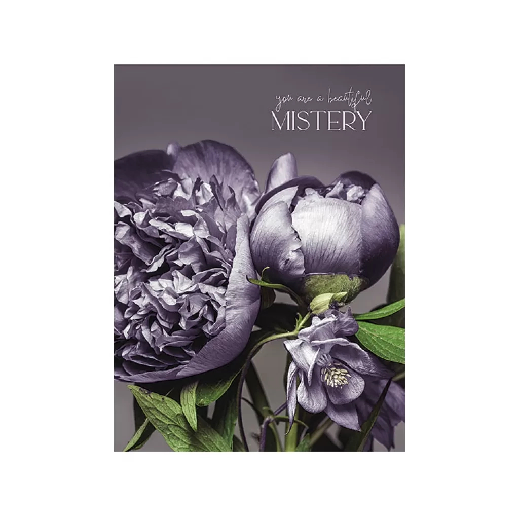 Зошит Школярик А5 Student лінія 48 аркушів (A5-048-5074L) - зображення 3