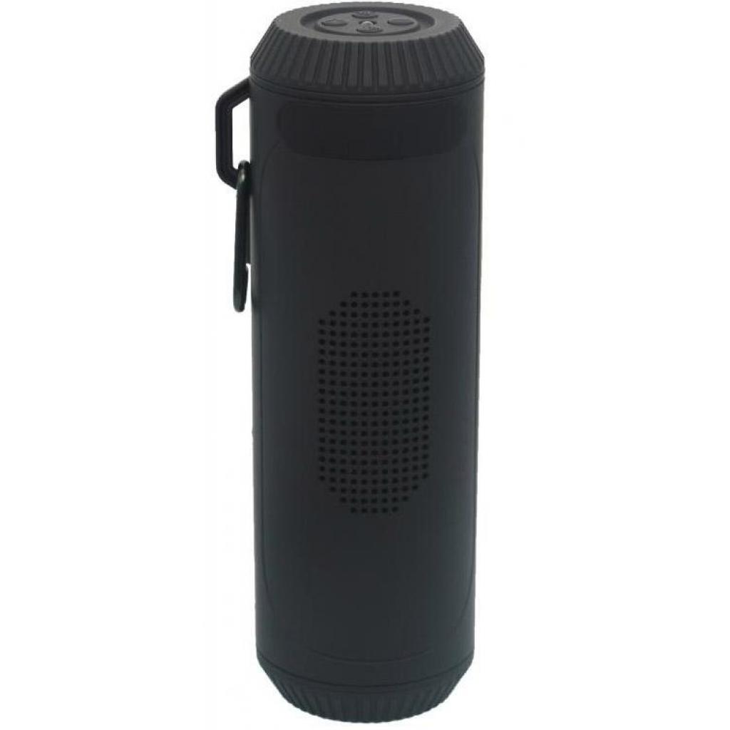 Акустична система Greenwave PS-601WP black (R0015299) - зображення 2