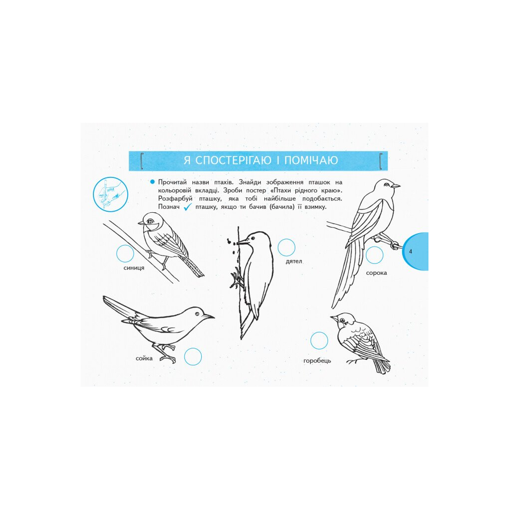 Робочий зошит НУШ Я досліджую світ. 1 клас. У 2 частинах. Частина 2 - О.В. Тагліна, Г.Ж. Іванова Ранок (9786170949806) - зображення 5