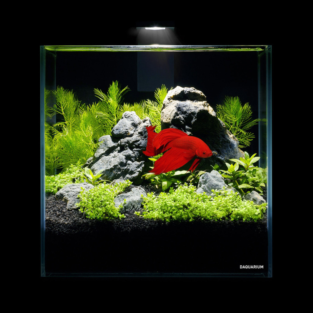 Акваріум Aqualighter набір DAQUARIUM Pico Set 170 мм 5 л (7141) - зображення 6