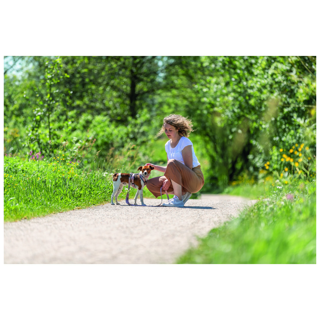 Шлея для собак Trixie Premium трекінгова XS–S 32–38 см 13 мм рожево-сіра (4053032679900) - зображення 3