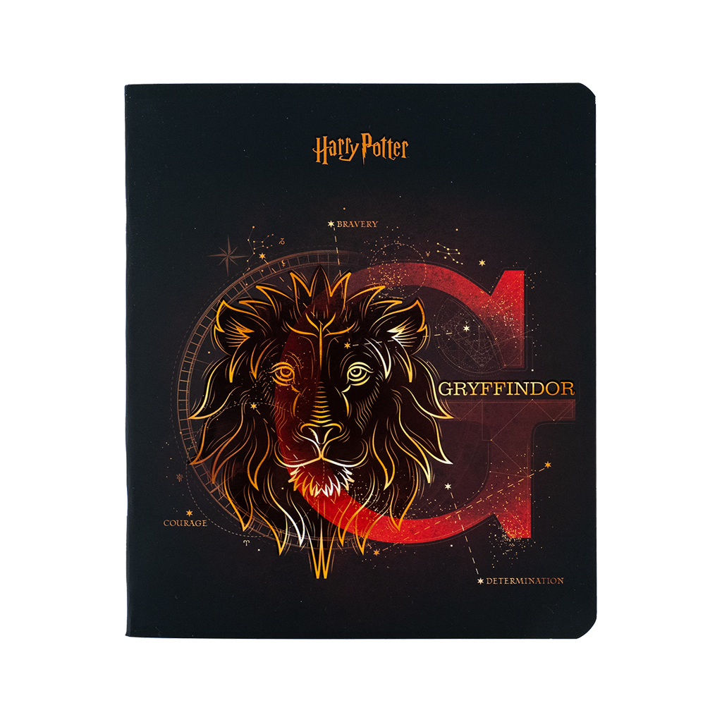 Зошит Kite Harry Potter 48 аркушів, клітинка (HP24-259) - зображення 3