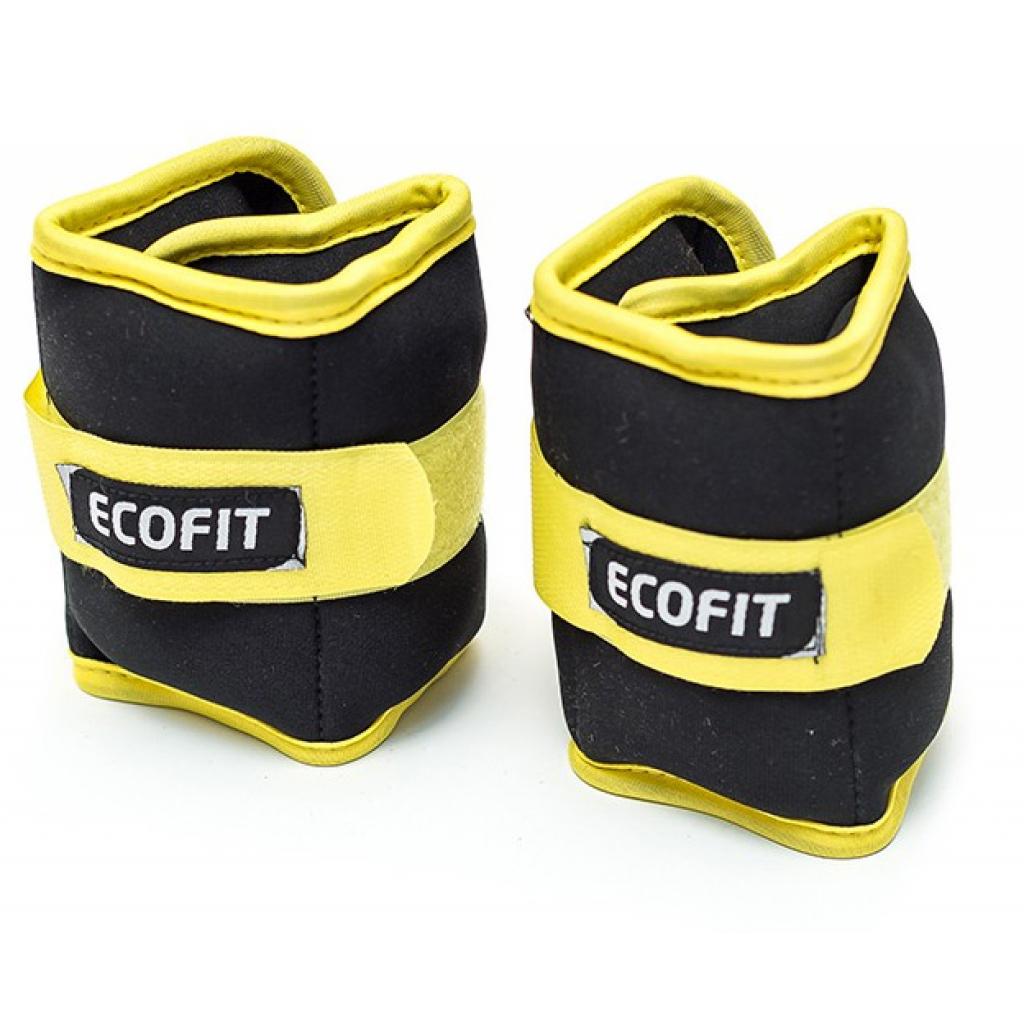 Обважнювач Ecofit MD1625 1,0 кг x 2 шт (К00016576) - зображення 1