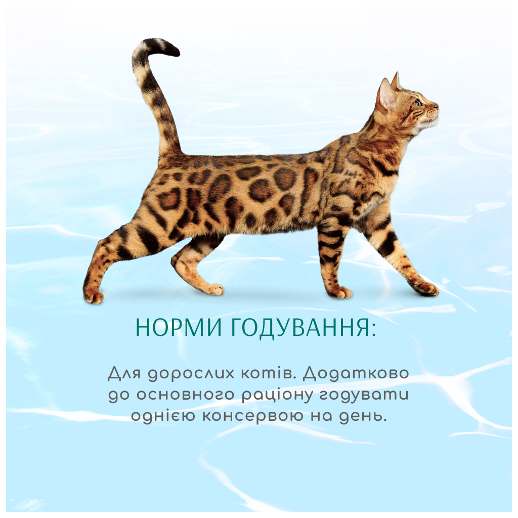 Консерви для котів Optimeal Beauty Podium смугастий тунець у соусі з кальмарами 70 г (4820215366243) - зображення 4
