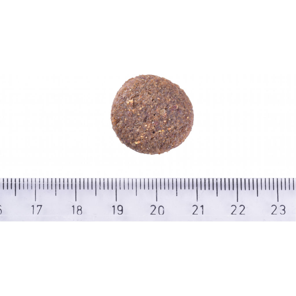 Сухий корм для собак Brit Care Dog Hypoallergenic Adult Large Breed з ягням 3 кг (8595602559084) - зображення 3