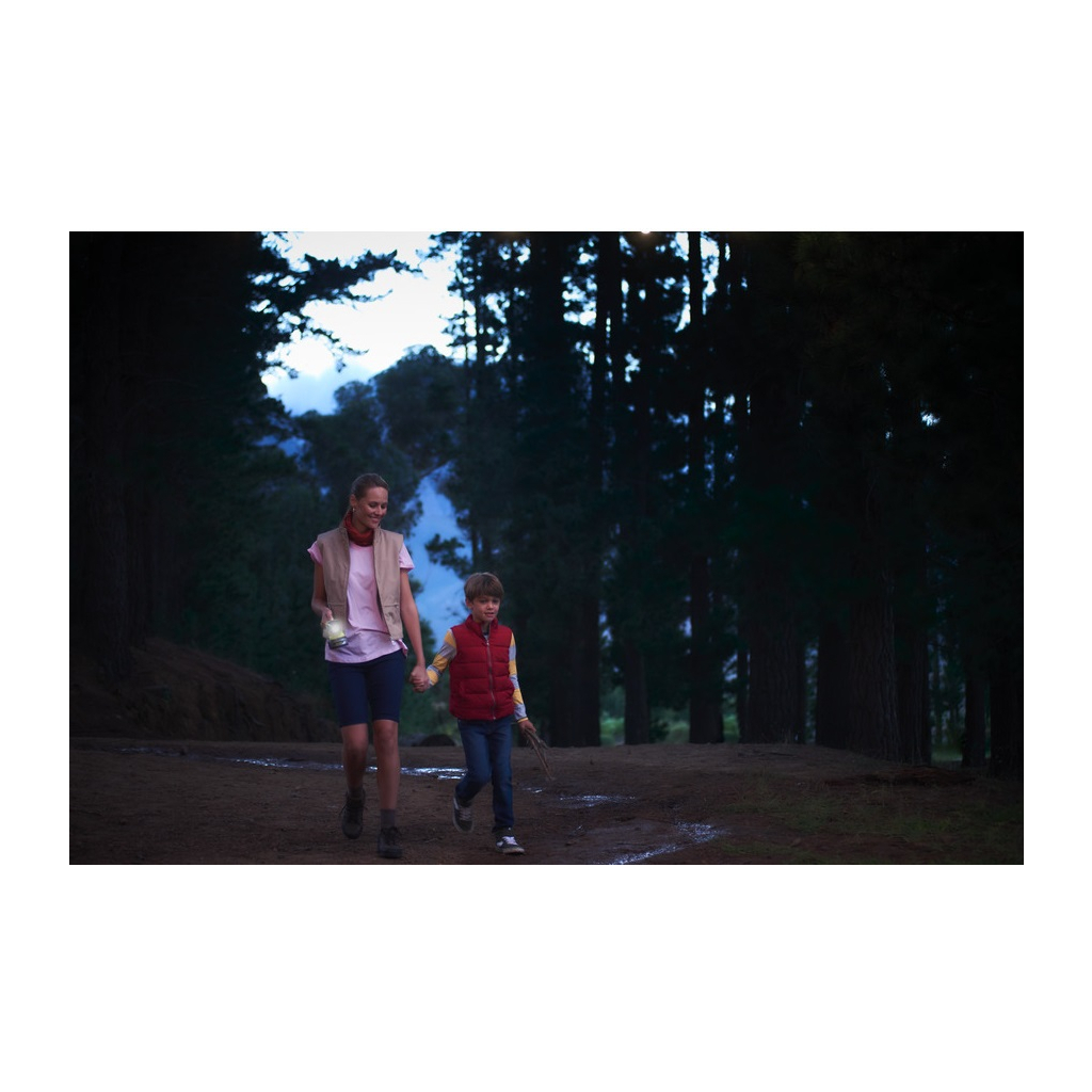 Ліхтар Ryobi 5133003373 - зображення 3