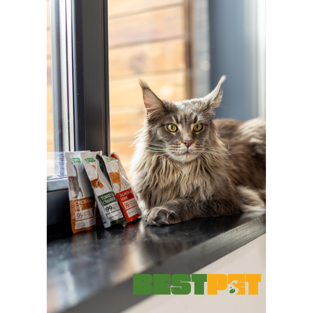 Вологий корм для кішок Nature's Protection Kitten Healthy Growth Chicken with Beef 100 г (NPUPF63656) - зображення 3