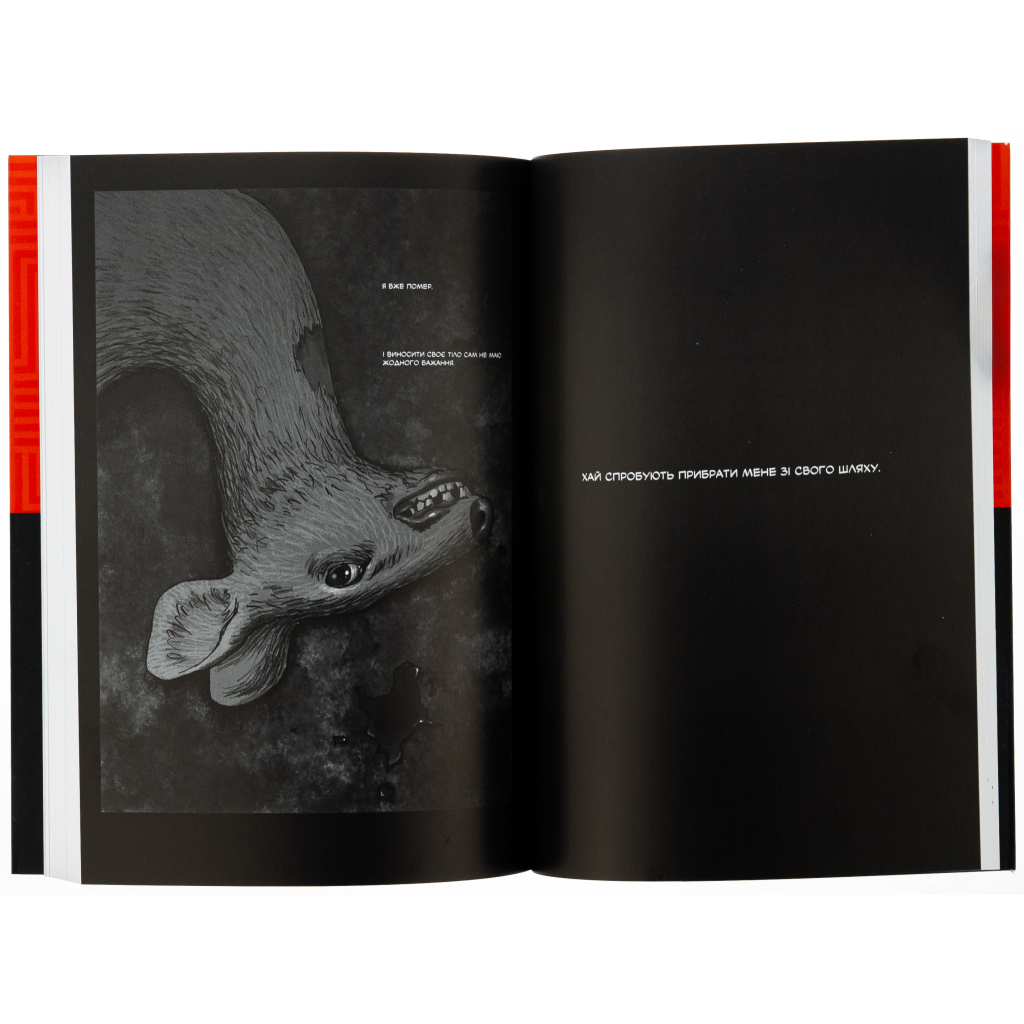 Комікс Шило. Том 1 - Чхве Ґюсок Varvar Publishing (9786170992659) - изображение 6