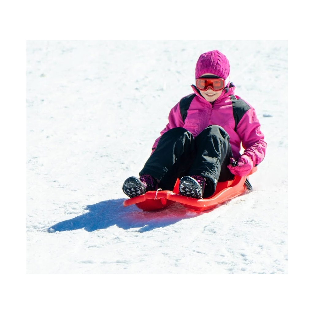 Санки Prosperplast червоні (ISRHOR-1788C) - зображення 5