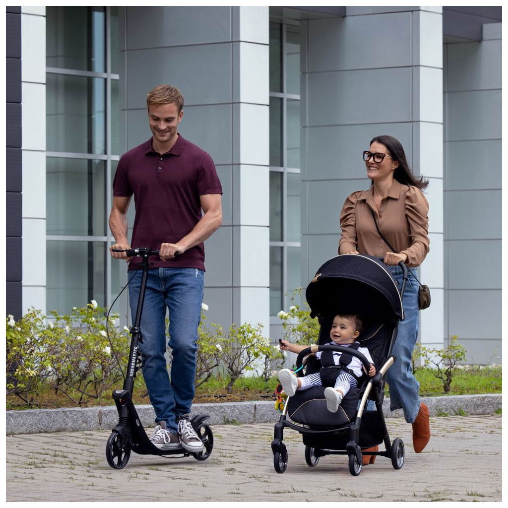 Коляска Chicco Goody Plus Black Re-Lux (79877.56) - зображення 2