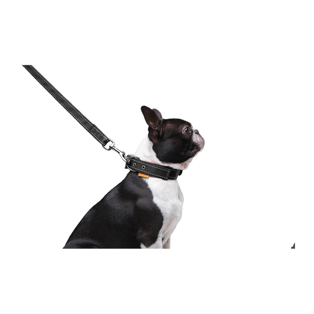 Повідець для собак Dog Extreme з нейлону подвійний Ш 20 мм Д 122 см чорний (42981) - зображення 7