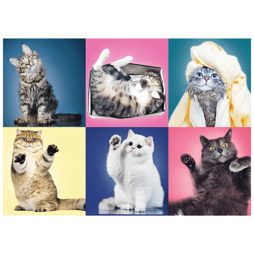 Пазл Trefl Кошенята 500 елементів (5900511373776) - зображення 2