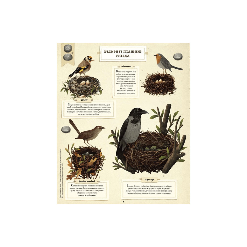 Книга Що будують звірята? - Емілія Дзюбак Видавництво Старого Лева (9789664481271) - зображення 6