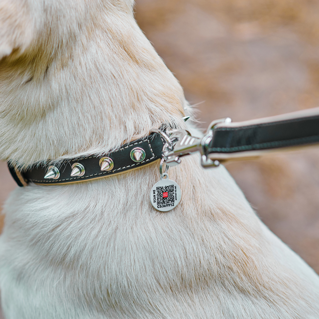 Нашийник для тварин WAUDOG Soft з QR паспортом з шипами Ш 35 мм Д 46-60 см чорний (7213) - зображення 5
