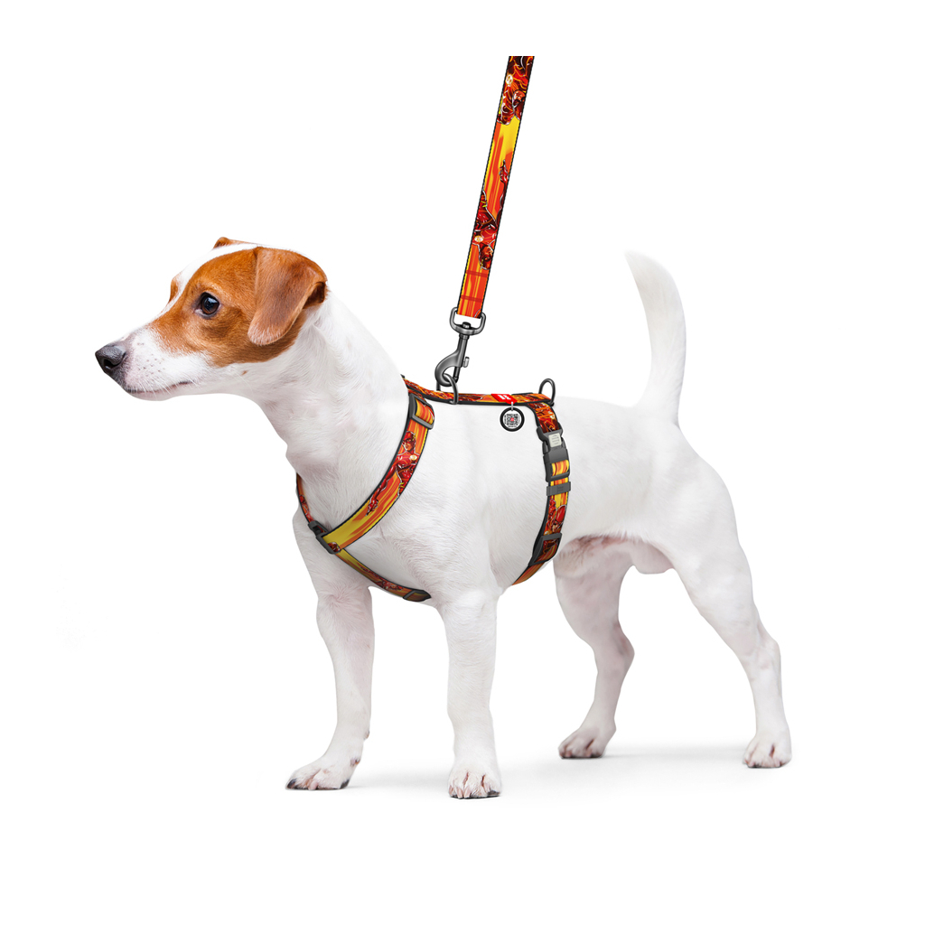 Шлея для собак WAUDOG Nylon H-подібна з QR-паспортом "Швидкість Флеша", пластиковий фастекс L (345-1080) - зображення 4