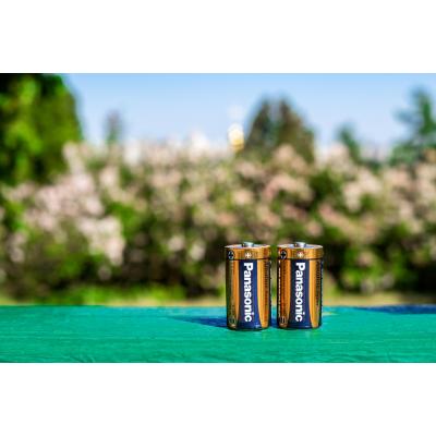 Батарейка Panasonic D LR20 Alkaline Power * 2 (LR20REB/2BP) - зображення 4