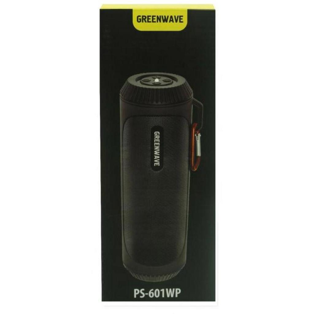 Акустична система Greenwave PS-601WP black (R0015299) - зображення 5