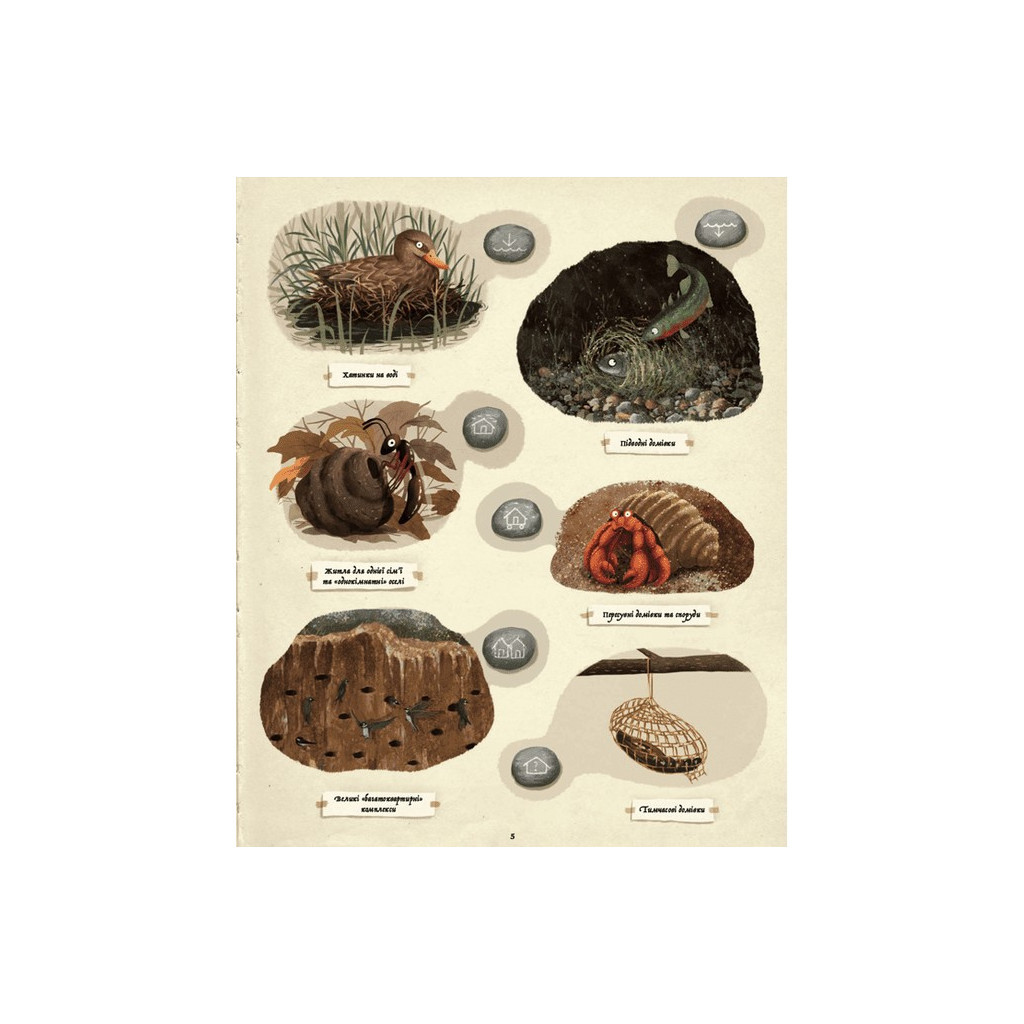 Книга Що будують звірята? - Емілія Дзюбак Видавництво Старого Лева (9789664481271) - зображення 3