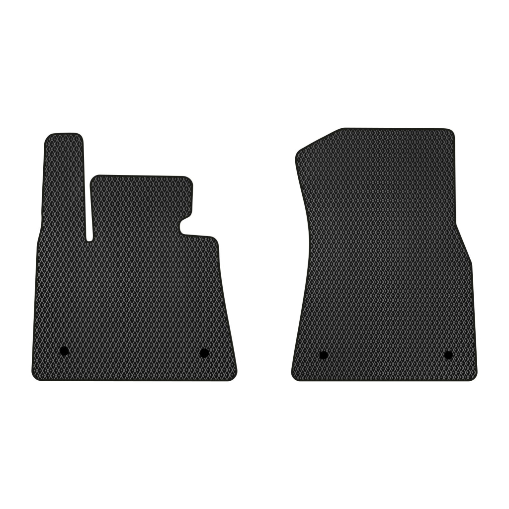 Килимок в салон EVAtech передні BMW X5 (G05) 2018+ 4 поколін (BM1523A2BW4RBB) - зображення 1