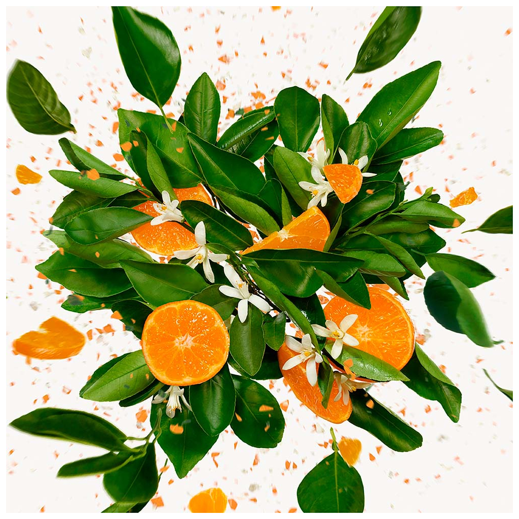 Парфумована вода Gucci Flora Gorgeous Jasmine 50 мл (3616302968534) - зображення 6