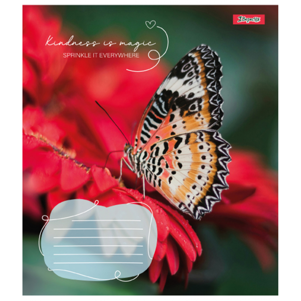 Зошит 1 вересня Butterfly А5 24 аркушів клітинка (767273) - зображення 5